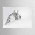 Canvas Set Animal Fantasy Classic Traditional,One Panel Canvas Horizontal Print Wall Decor For Hom