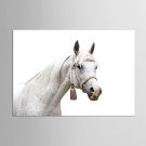 Canvas Set Famous Animal Classic Traditional,One Panel Canvas Horizontal Print Wall Decor For Home
