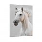 Canvas Set Famous Animal Classic European Style,One Panel Canvas Vertical Print Wall Decor For Hom