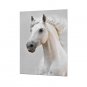 Canvas Set Famous Animal Classic European Style,One Panel Canvas Vertical Print Wall Decor For Hom