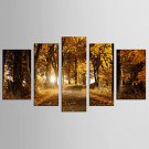 Canvas Set Famous Floral/Botanical Modern Classic,Five Panels Canvas Any Shape Print Wall Decor Fo