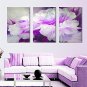Popular 3Pcs Hot Sell Modern Wall Painting Pink Flower Home Decorative Wedding Art Picture Paint O
