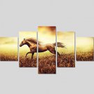 Canvas Print Art Set Of 5 Wall Pictures For Linving Room Modern Horse Pictures Home Decor