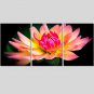 Canvas Print Art Set Of 5 Wall Pictures For Linving Room Modern Wall Painting Flower Pictures Home