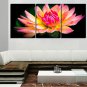 Canvas Print Art Set Of 5 Wall Pictures For Linving Room Modern Wall Painting Flower Pictures Home