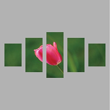 Canvas Print Abstract,Five Panels Canvas Horizontal Print Wall Decor For Home Decoration