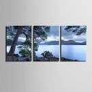 E-HOME Stretched Canvas Art Lake Scenery Decoration Painting  Set Of 3