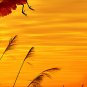 E-HOME Stretched Canvas Art The Crane in The Sunset Decoration Painting  Set Of 3
