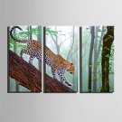 E-HOME Stretched Canvas Art The Leopard On The Tree Decoration Painting Set Of 3