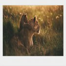 Art Print Animal Pastoral,Three Panels Horizontal Print Wall Decor For Home Decoration