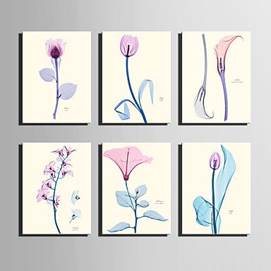 E-HOME Stretched Canvas Art Transparent Color Flowers Series Decoration Painting MINI SIZE One Pcs