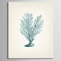E-HOME Stretched Canvas Art Marine Organisms Series Decoration Painting MINI SIZE One Pcs