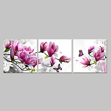 Prints Poster Purple Pink Blue Flower Art  Home Decorative  Pictures Print On Canvas  3pcs/set (Wi