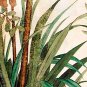 E-HOME Stretched Canvas Art Bird On The Branch Decoration Painting Set Of 3