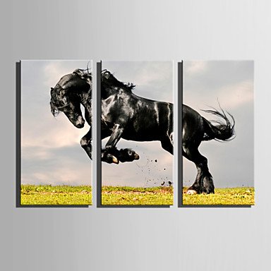 E-HOME Stretched Canvas Art Pentium the Black Horse Decoration Painting Set Of 3