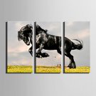 E-HOME Stretched Canvas Art Pentium the Black Horse Decoration Painting Set Of 3