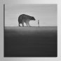 E-HOME Stretched Canvas Art Animal Gray Series Decoration Painting MINI SIZE One Pcs