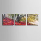 E-HOME Stretched Canvas Art Autumn Woods Wonders Decoration Painting Set Of 3