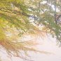 E-HOME Stretched Canvas Art Autumn Woods Wonders Decoration Painting Set Of 3