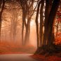 E-HOME Stretched Canvas Art Autumn Maple Decoration Painting  Set of 3