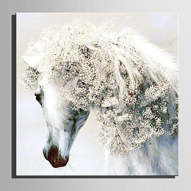 E-HOME Stretched Canvas Art White Horse With A Flower Decoration Painting  One Pcs