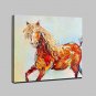Hand Painted Horse Animal Oil Painting On Canvas Wall Art For Home Decoration With Stretched Frame