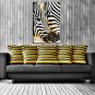 Oil Painting Zebra Style , Canvas Material with Stretched Frame Ready To Hang SIZE:60*90CM.