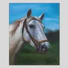 Oil Paintings Horse Style Canvas Material With Wooden Stretcher Ready To Hang Size60*90CM and 50*7