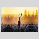 Oil Paintings Sika Deer Style Canvas Material With Wooden Stretcher Ready To Hang Size60*90CM and