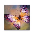 Free Shiping Colorful Butterfly Animal Designs Framed Handmade Oil Painting