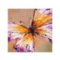 Free Shiping Colorful Butterfly Animal Designs Framed Handmade Oil Painting