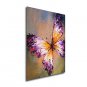 Free Shiping Colorful Butterfly Animal Designs Framed Handmade Oil Painting