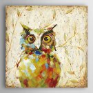 Hand Painted Oil Painting Animal Abstract the Owl with Stretched Frame