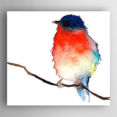 Oil Painting  Impression Bird Hand Painted Canvas with Stretched Framed Ready to Hang
