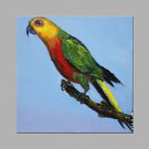 IARTS Oil Painting Parrot Bird Animal Wall Art Acrylic Canvas Wall Art For Home Decoration