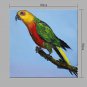 IARTS Oil Painting Parrot Bird Animal Wall Art Acrylic Canvas Wall Art For Home Decoration