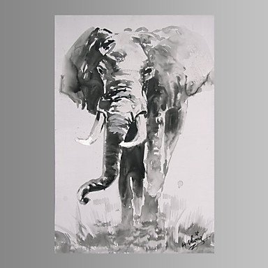 Elephant Wall Art Canvas Print Ready To Hang