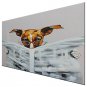 Hand-Painted Abstract / Animal 100% Hang-Painted Oil Painting,Modern / Classic One Panel Canvas Oi