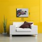 Single Modern Abstract Pure Hand Draw Ready To Hang Decorative The A Zebra Oil Painting