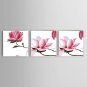 Ready to Hang Hand-Painted Pink Peach Flower Oil Painting Wall Art Modern Home Office Corridor Dec