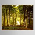 Oil Painting Pastoral Scenery Forest Woodland Hand Painted Canvas with Stretched Framed