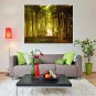 Oil Painting Pastoral Scenery Forest Woodland Hand Painted Canvas with Stretched Framed