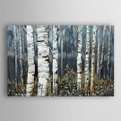 Hand Painted Oil Painting  Landscape Gray Birch Trees with Stretched Frame 7 Wall Arts