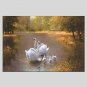 Oil Paintings Modern Landscape Style Canvas Material With Wooden Stretcher Ready To Hang Size60*90