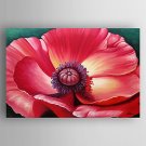 Oil Painting Red Flower Hand Painted Canvas with Stretched Framed