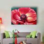 Oil Painting Red Flower Hand Painted Canvas with Stretched Framed