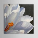 Hand-Painted Floral/Botanical Square,Classic One Panel Canvas Oil Painting For Home Decoration