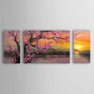 Hand-Painted Floral/Botanical Horizontal Panoramic,Classic Traditional Three Panels Canvas Oil Pai