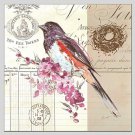 Oil Paintings Floral Style Canvas Material With Wooden Stretcher Ready To Hang Size70*70CM .