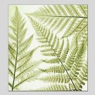 Oil Paintings Flower Style Canvas Material With Wooden Stretcher Ready To Hang Size60*60CM and 70*